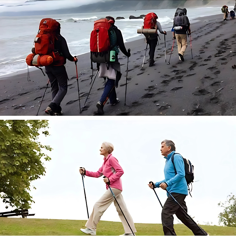 Bâton de Trekking Pliable en Aluminium randonnée