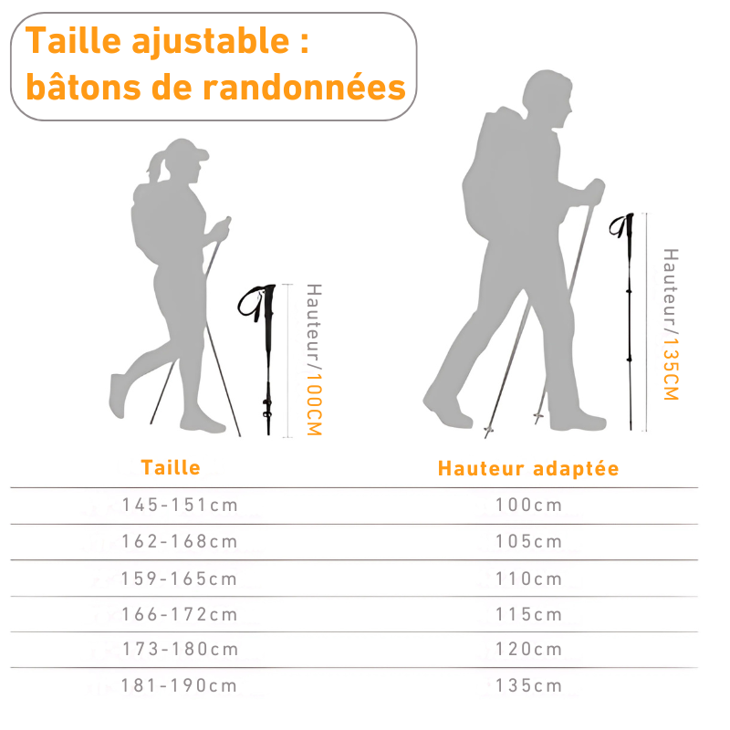 Bâtons de Randonnée Télescopiques en Carbone mesures
