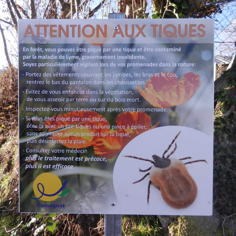 Tire-tique de Secours