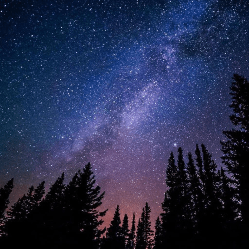 Tente 1 Place fenêtre