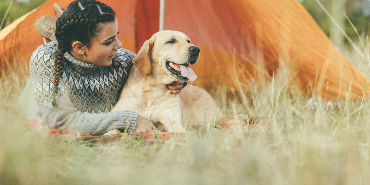 camping et chien