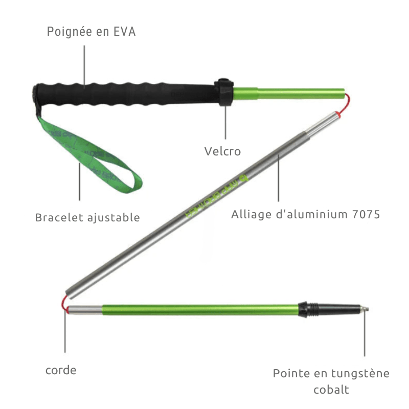 Bâton de Marche Nordique Pliable en Aluminium caractéristiques