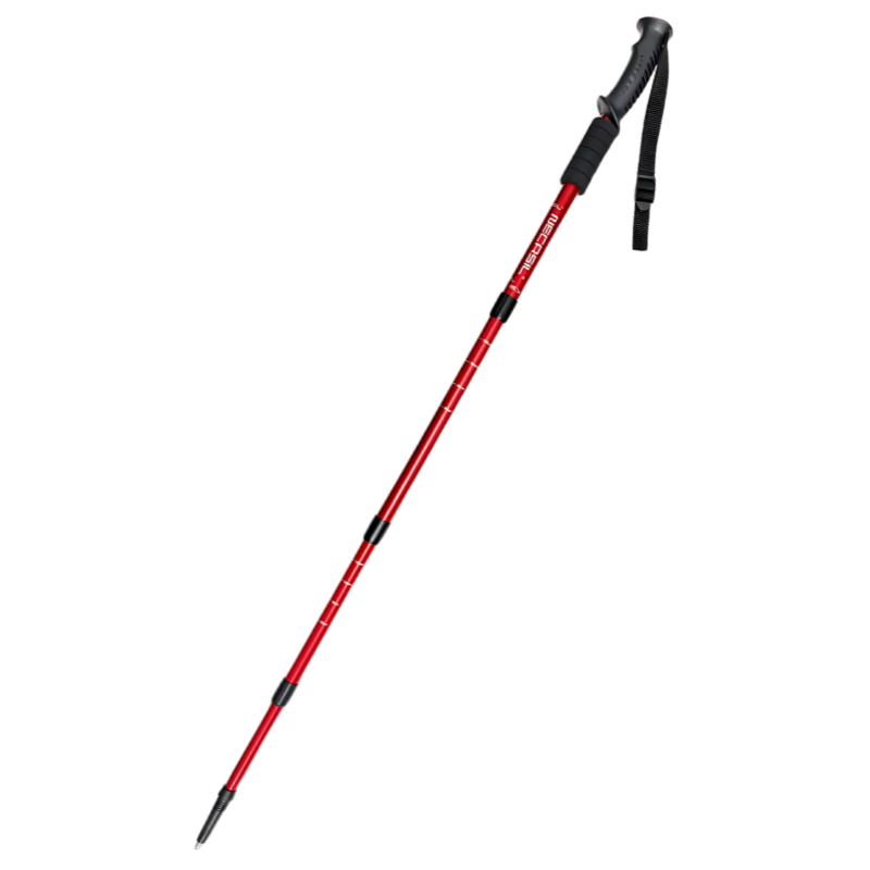 Bâton de Trekking Télescopique en Aluminium
