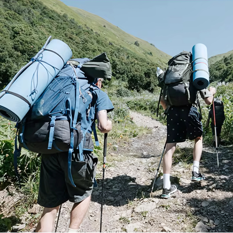 Bâton de Trekking Télescopique en Aluminium randonnée