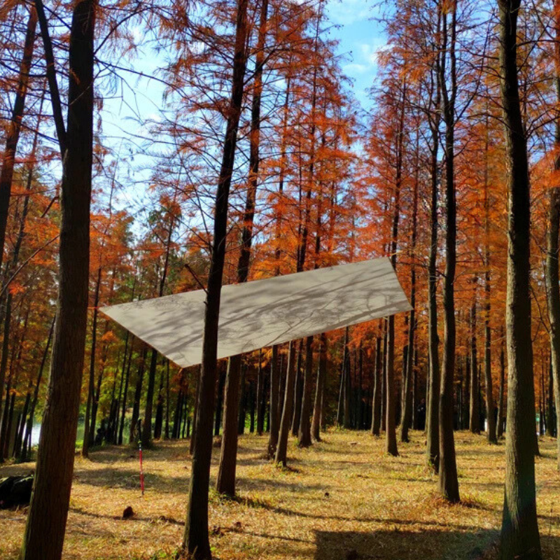 Tarp Abri Bivouac