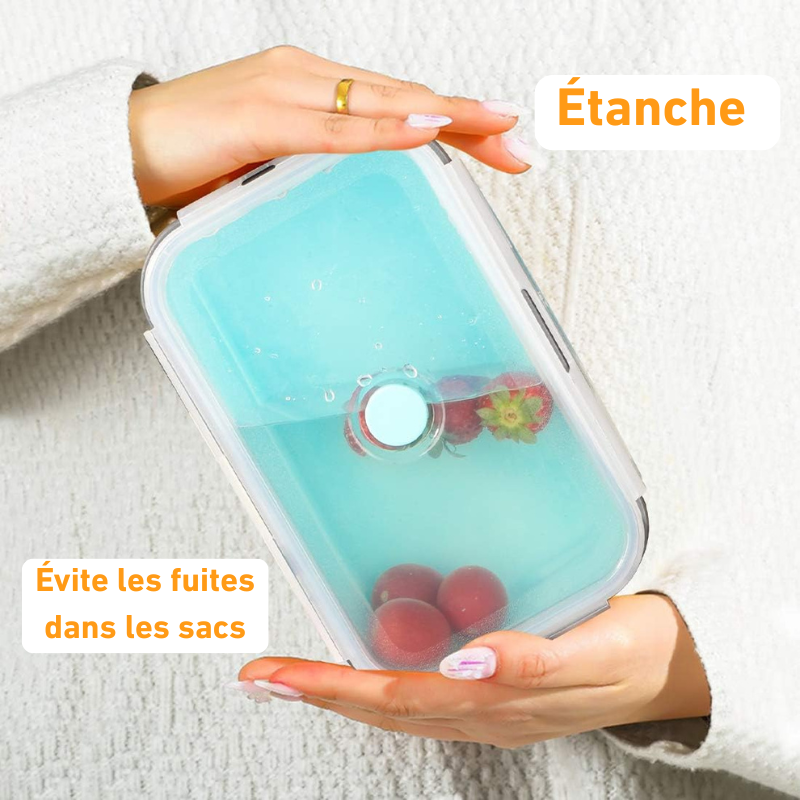Boîtes Alimentaires Pliables