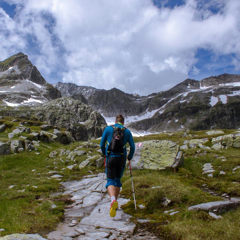 Bâton de Randonnée Ultra Léger en Carbone