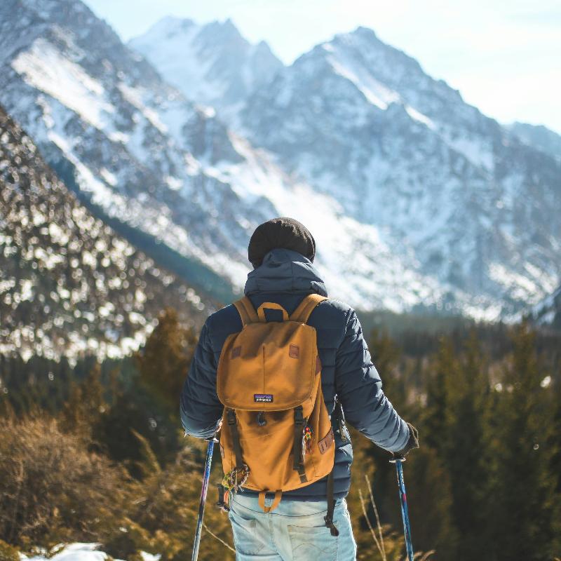 Bâton de Trekking en Aluminium